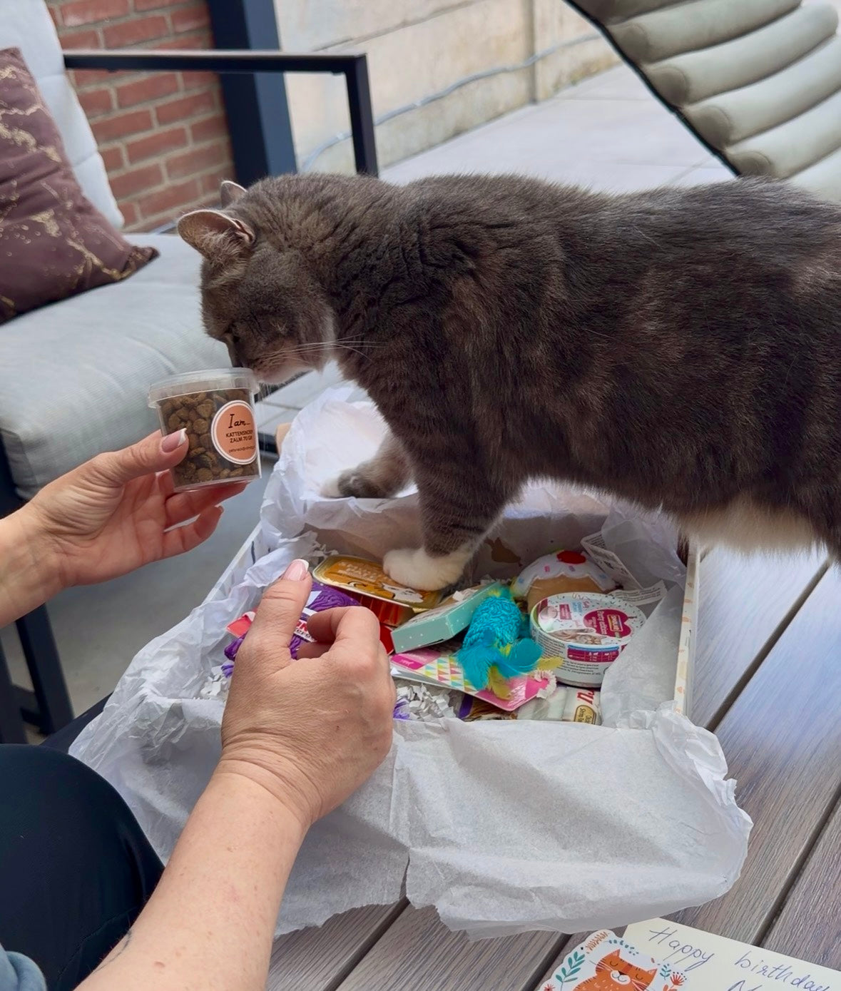 Gepersonaliseerde verjaardagsbox voor katten