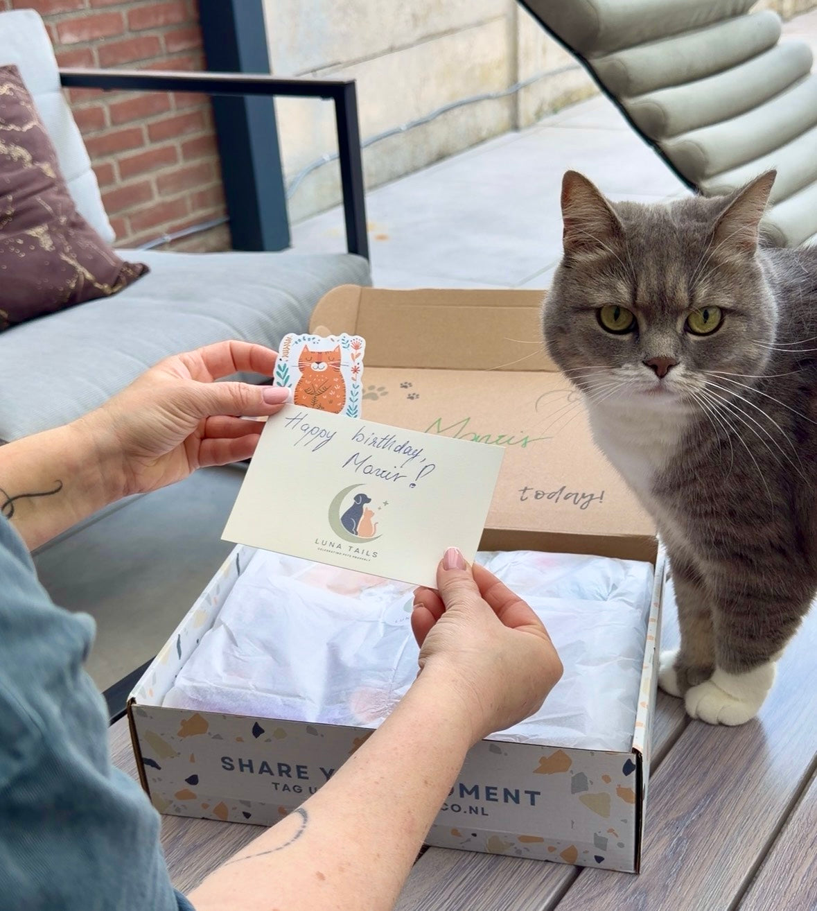 Gepersonaliseerde verjaardagsbox voor katten